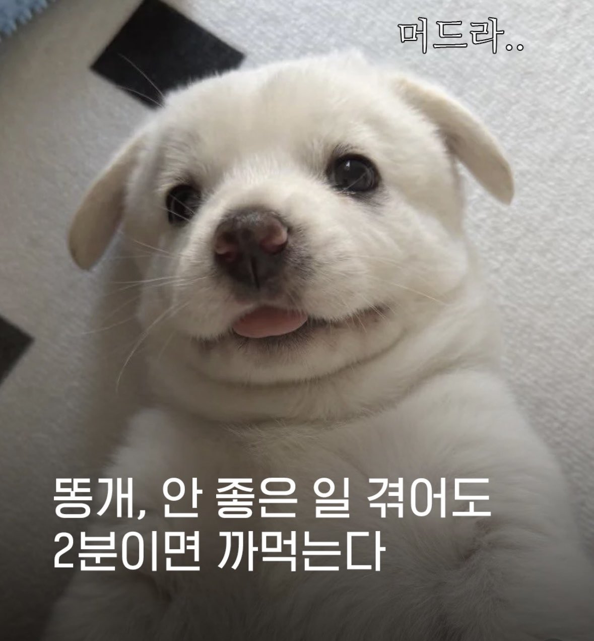 mJnfeK