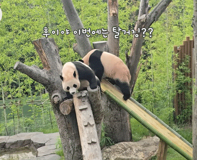 mKsdPJ.gif