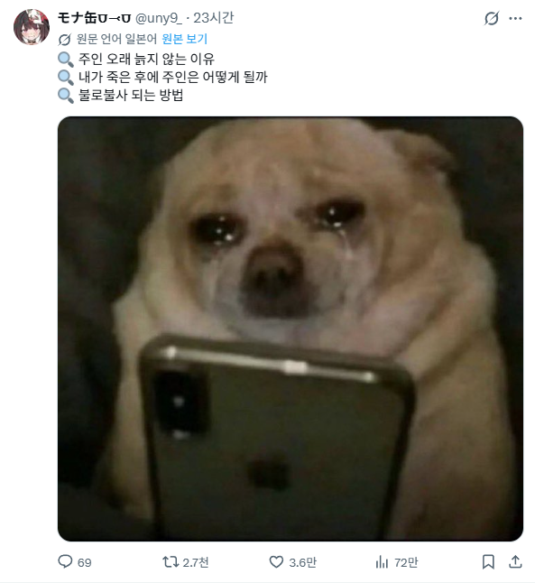 mLCpYw