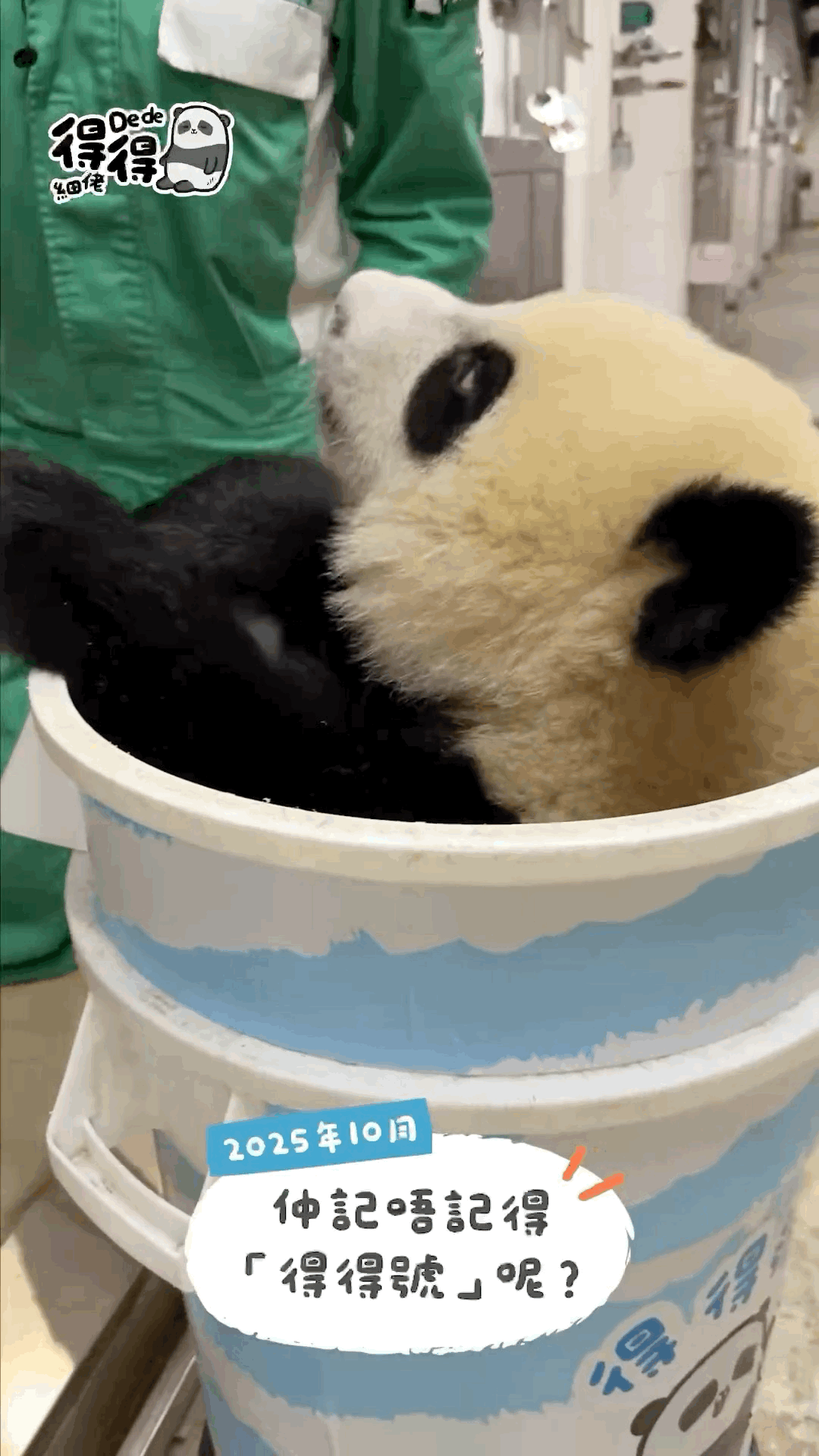 mLFQgv.gif