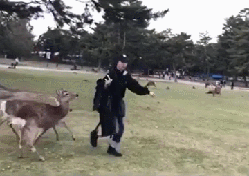 mUauqZ.gif