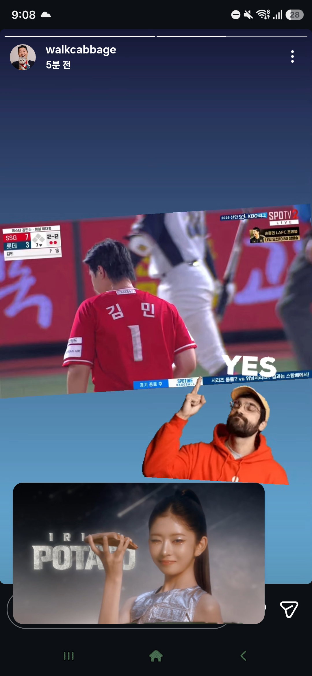 mWzFsr