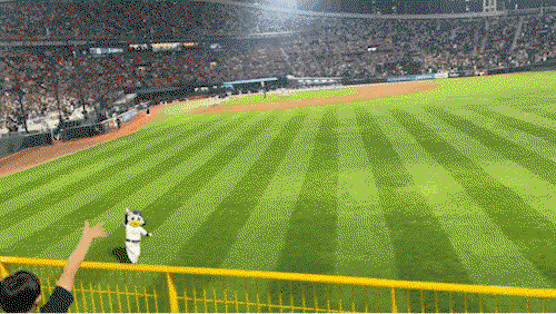 mWzOLV.gif