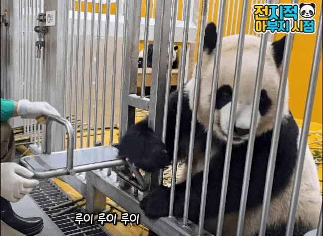 mXBqyj.gif