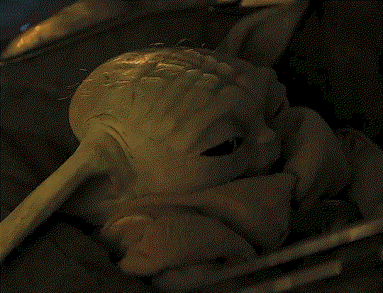 mZuCUq.gif