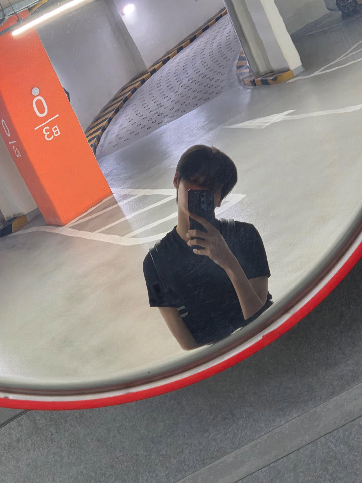 manPdH