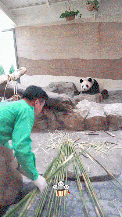 mbLgjR.gif