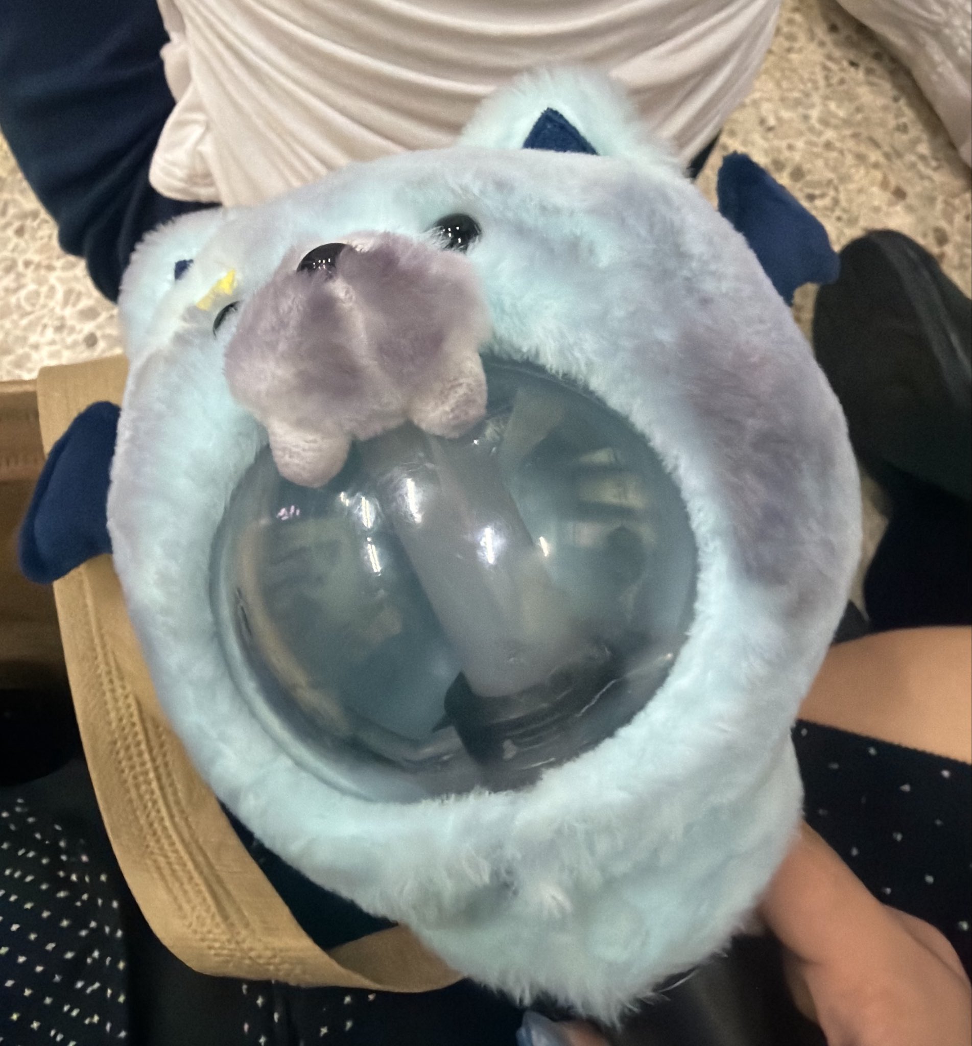 mbrnlD