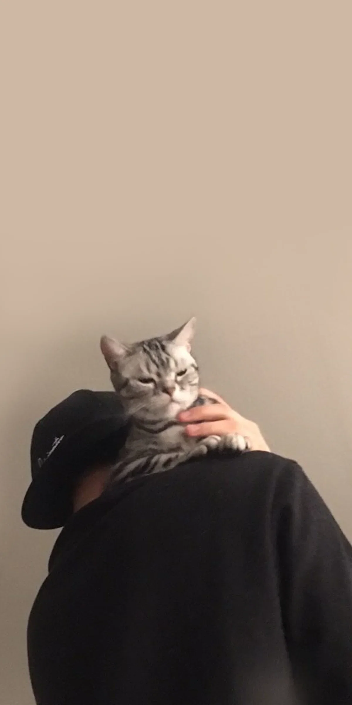 mdbOnM
