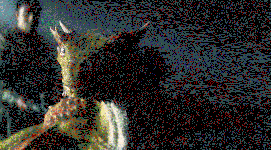 melChR.gif