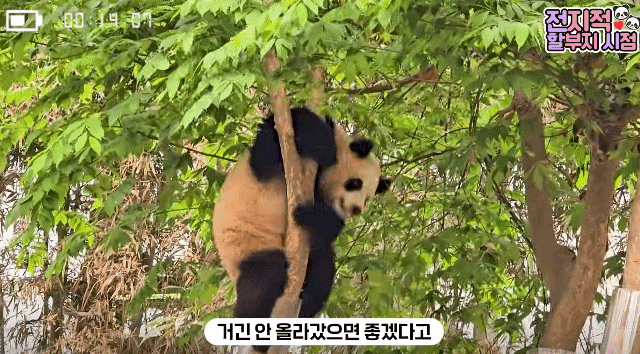 mgyCCU.gif