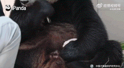 miEpaO.gif