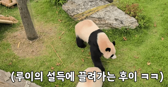 miOgBk.gif