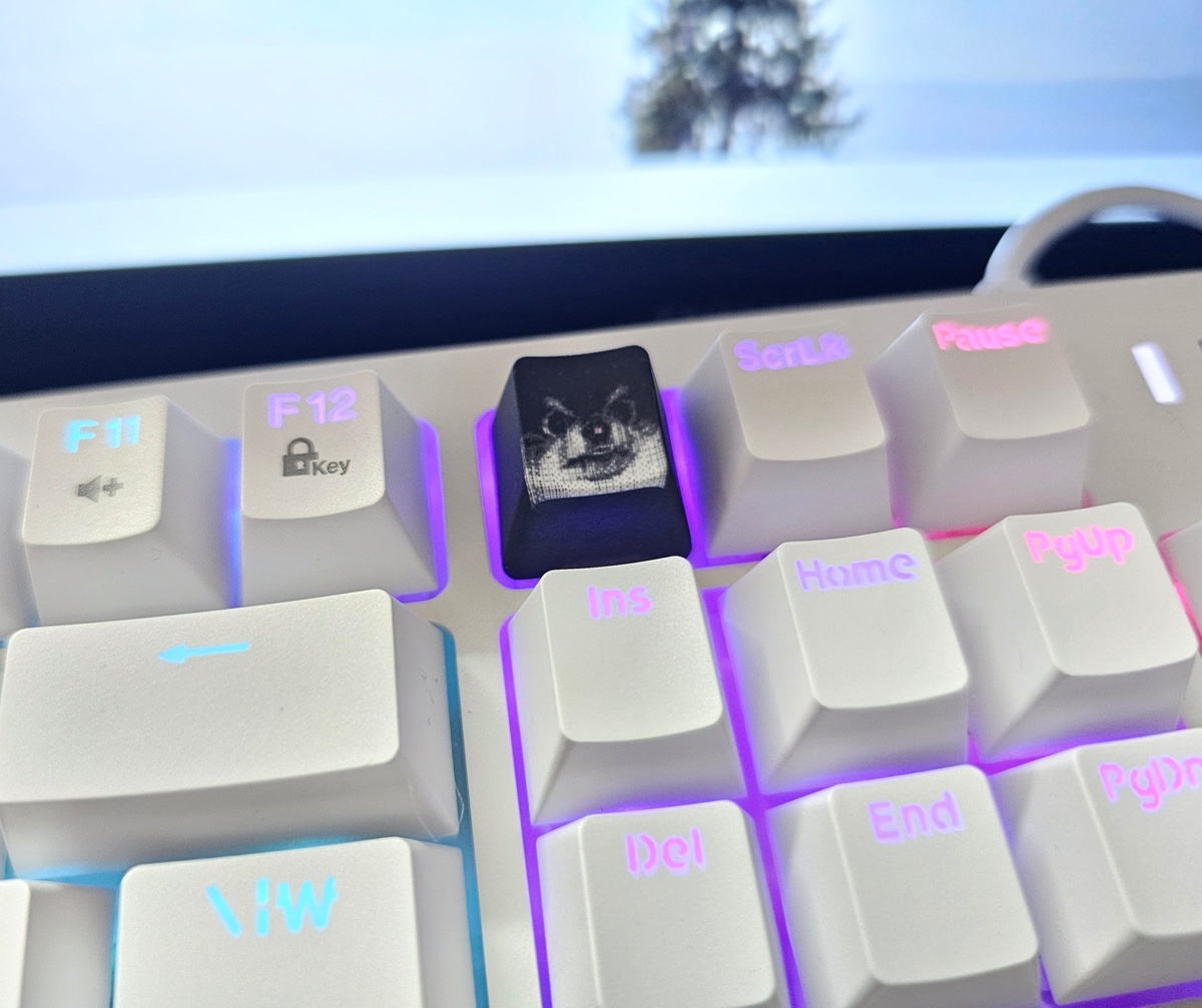 mkMWVp