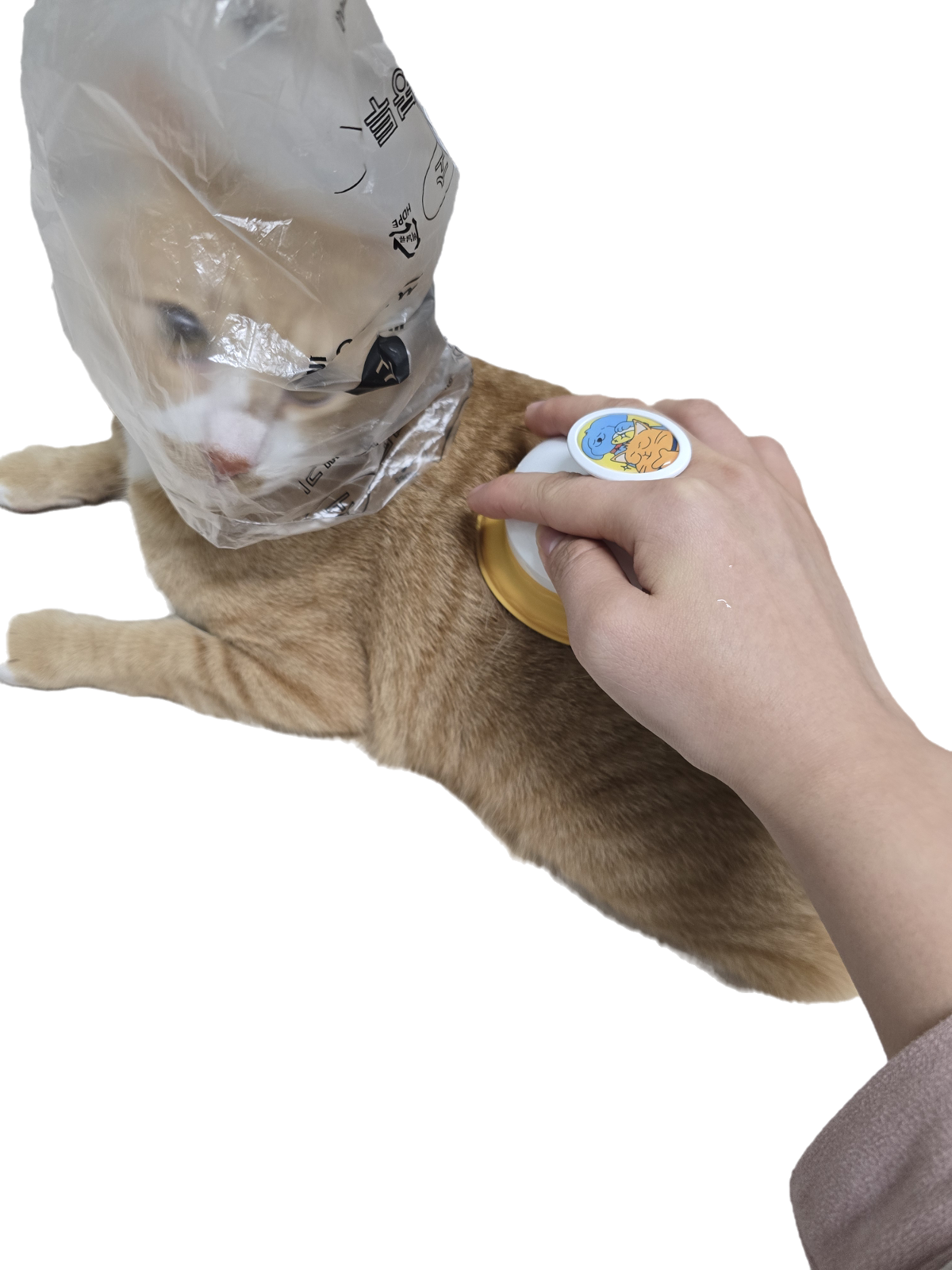 mknYVH