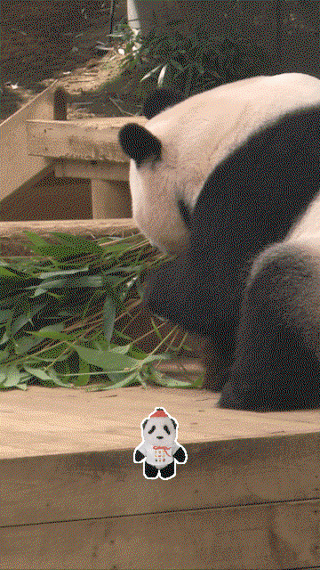 mmPXfB.gif
