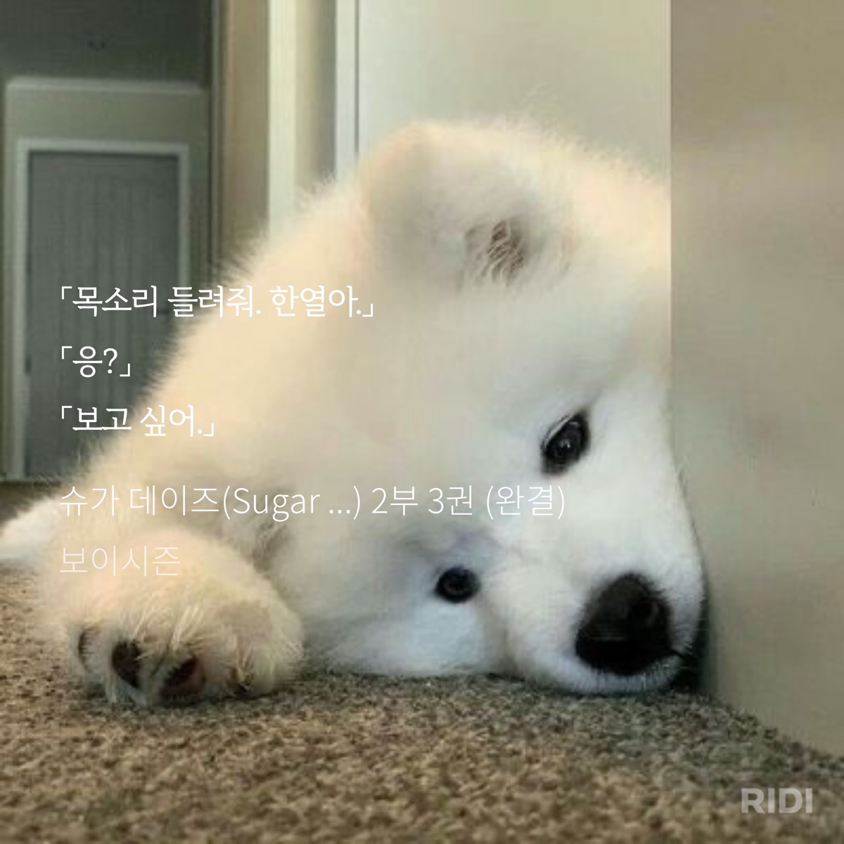 mmUFeP