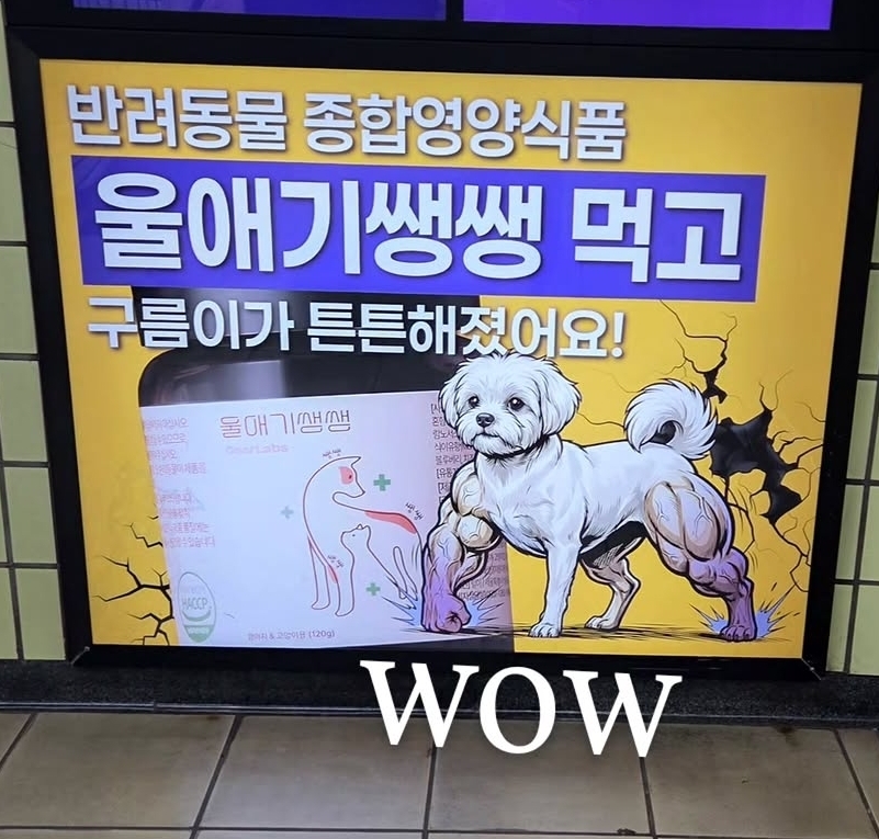 moexNq.jpg
