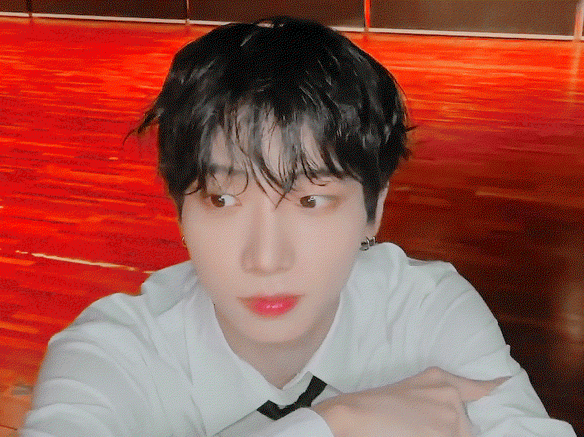 monHEy.gif