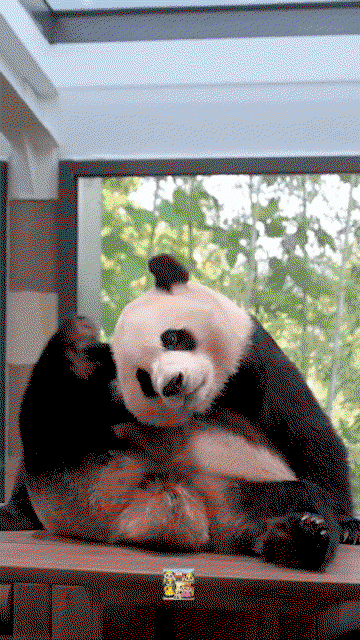 mpEQco.gif