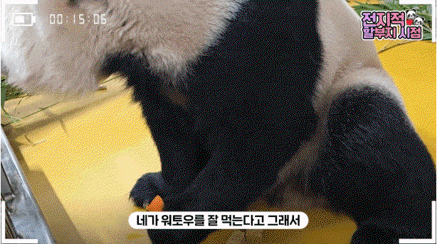 mqwWrj.gif