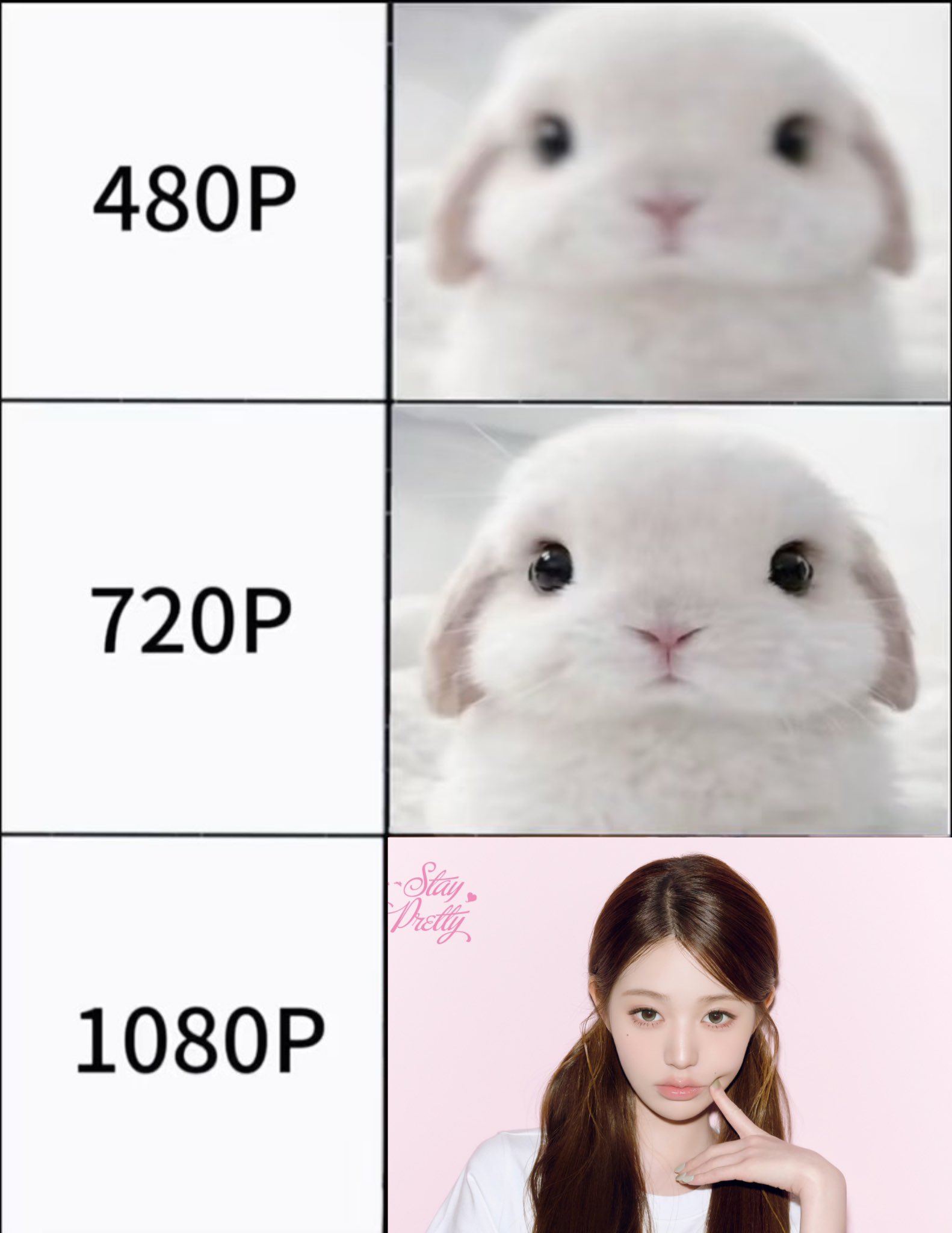 mvKPXB
