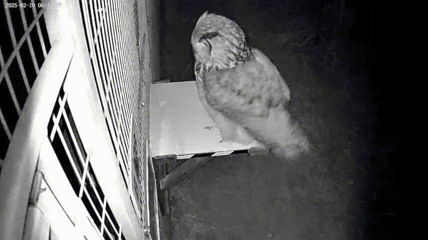 mvoTiT.gif