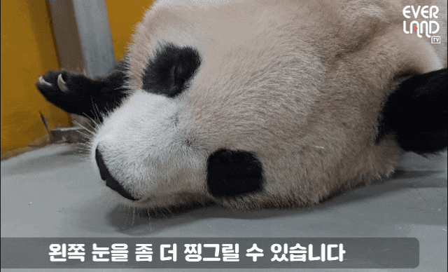 myTVar.gif