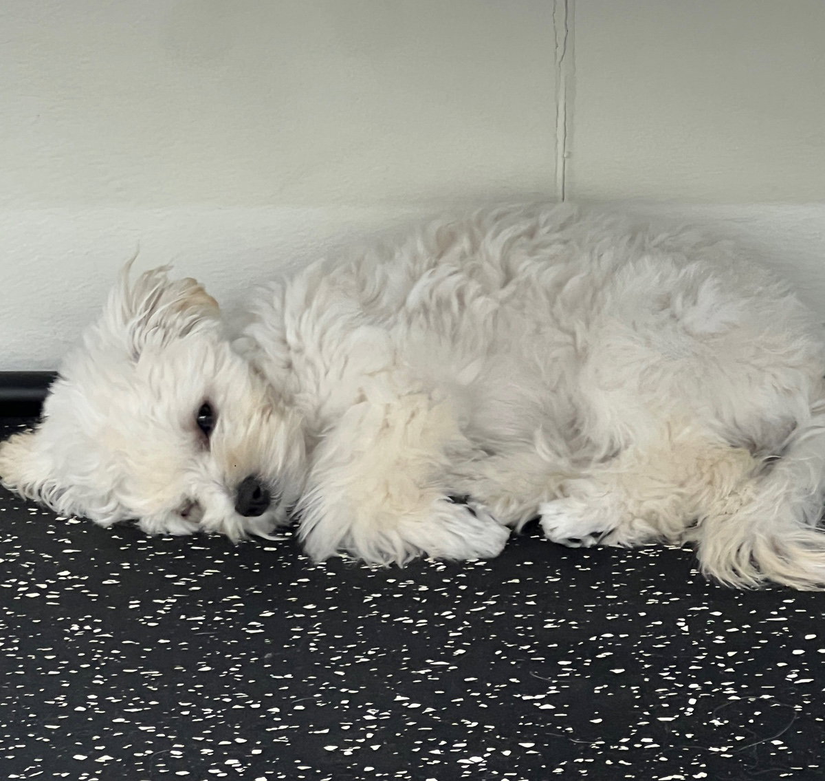 nApSod