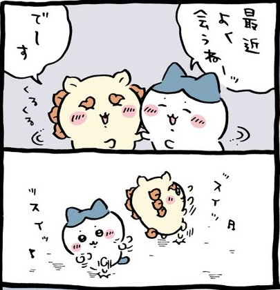 nBlBON