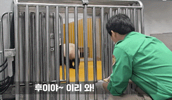 nDrQMF.gif