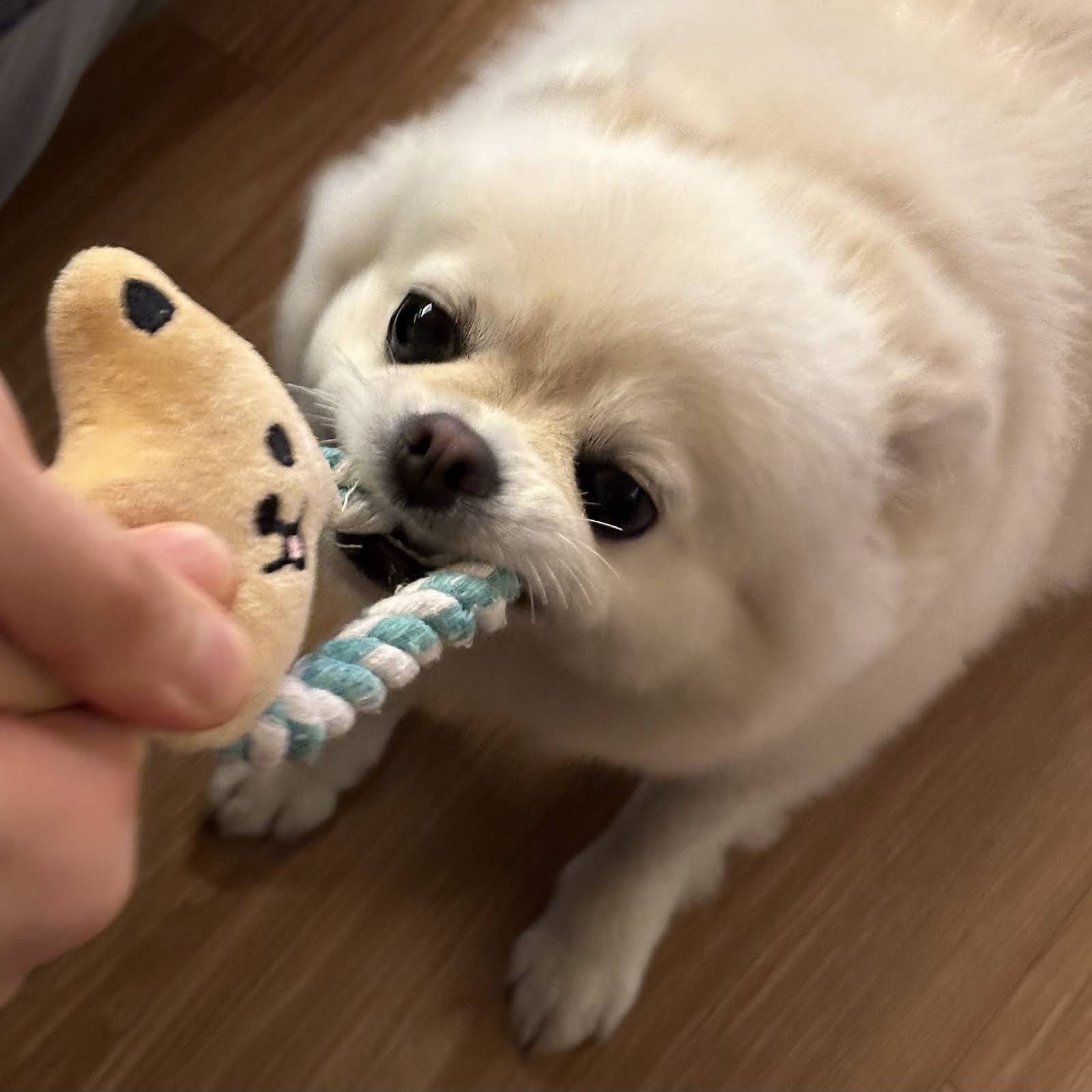 nFFsbb