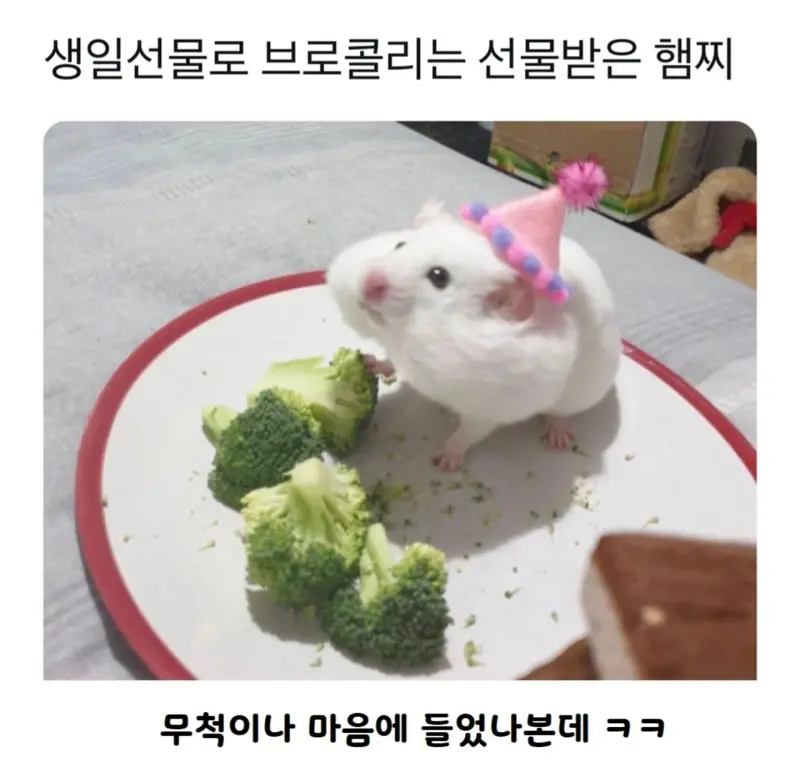 nFKang