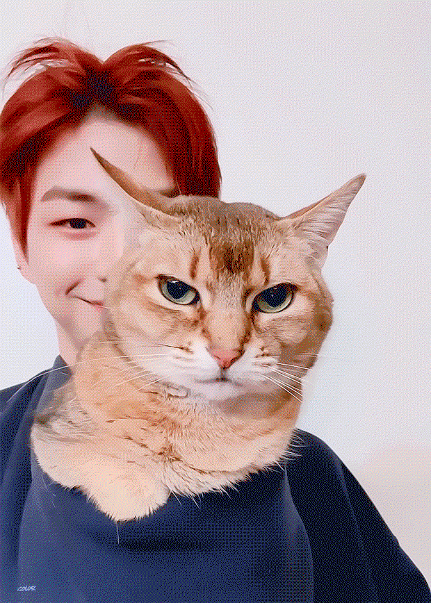 nGhqYo.gif
