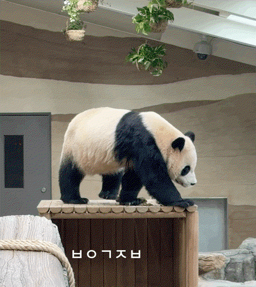 nHUAgB.gif