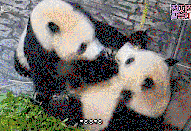 nHqaXc.gif