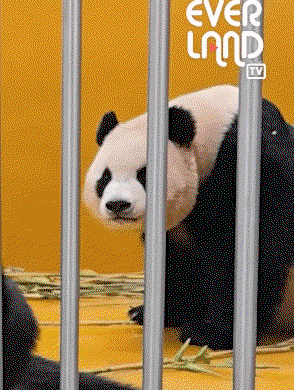 nImnCO.gif