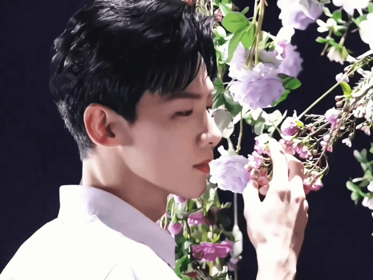 nJQUSh.gif
