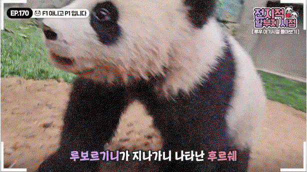 nJrJZm.gif