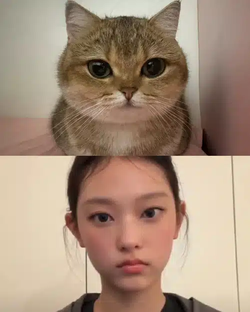 nKnEjO