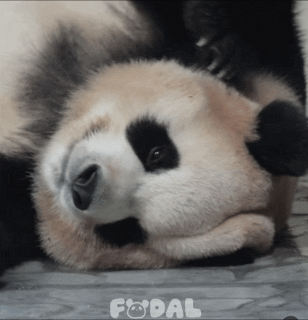nMkTUz.gif