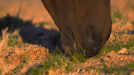 nMtUNA.gif