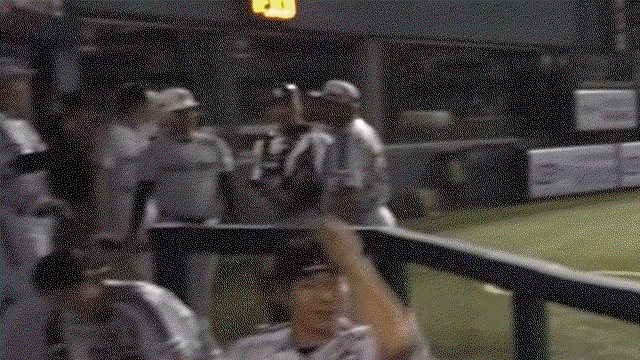 nPMpLa.gif