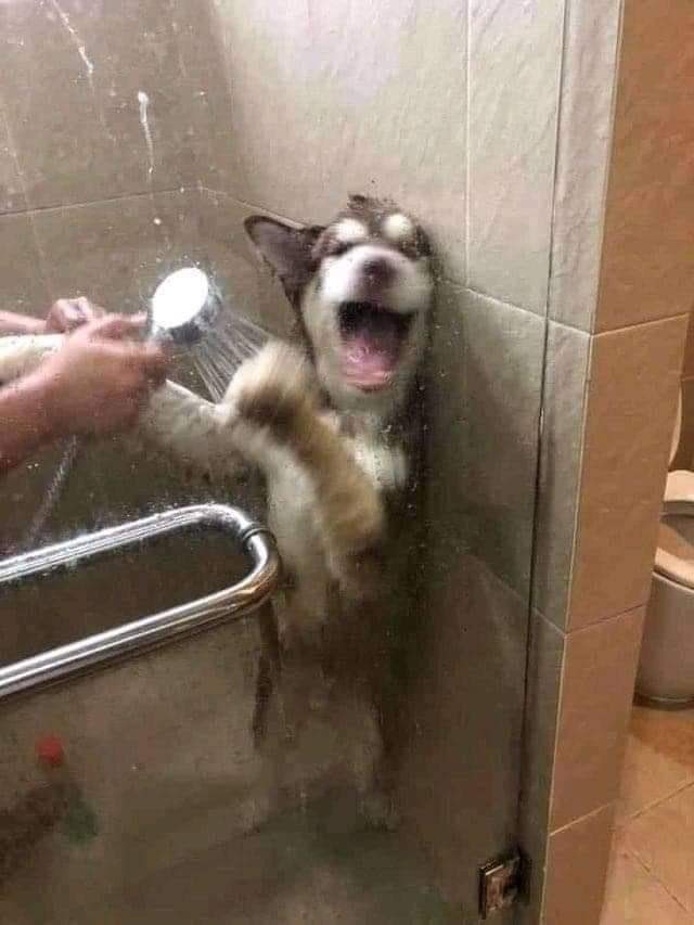 nRusdg
