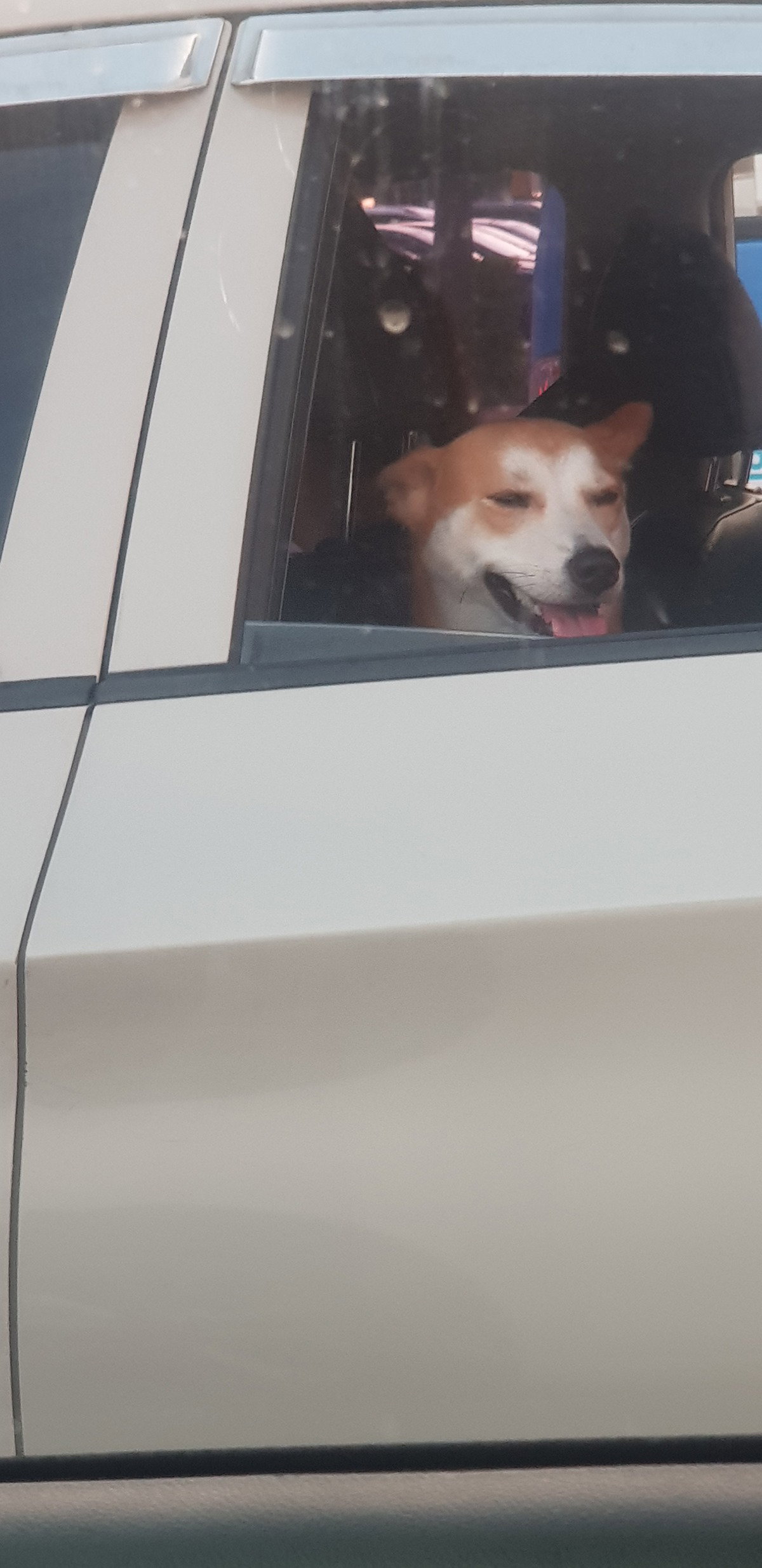 nSiklj