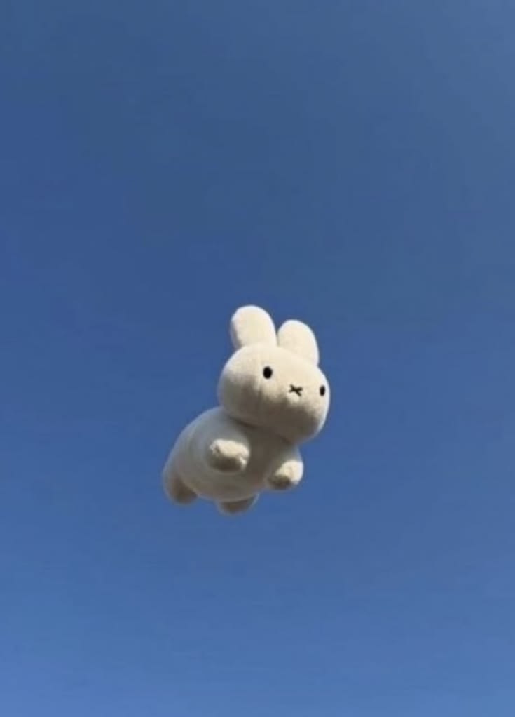 nSmqDR