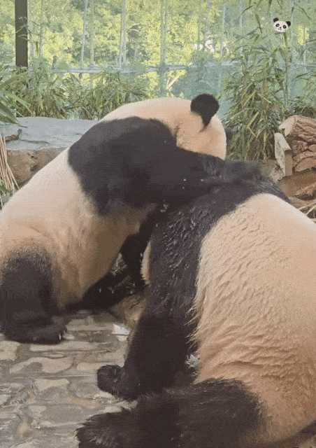 nTwehO.gif