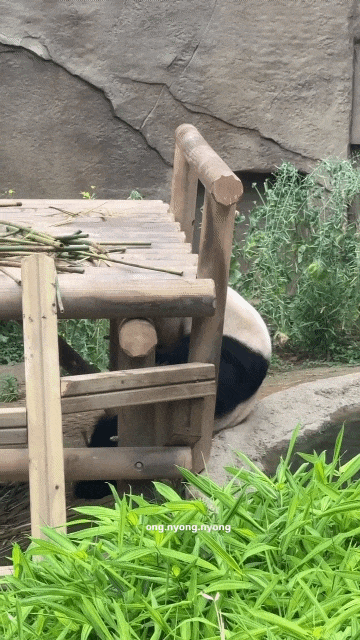 nVVKvG.gif