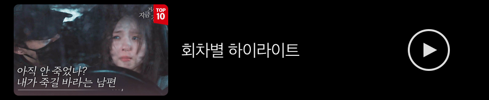 회차별하이라이트