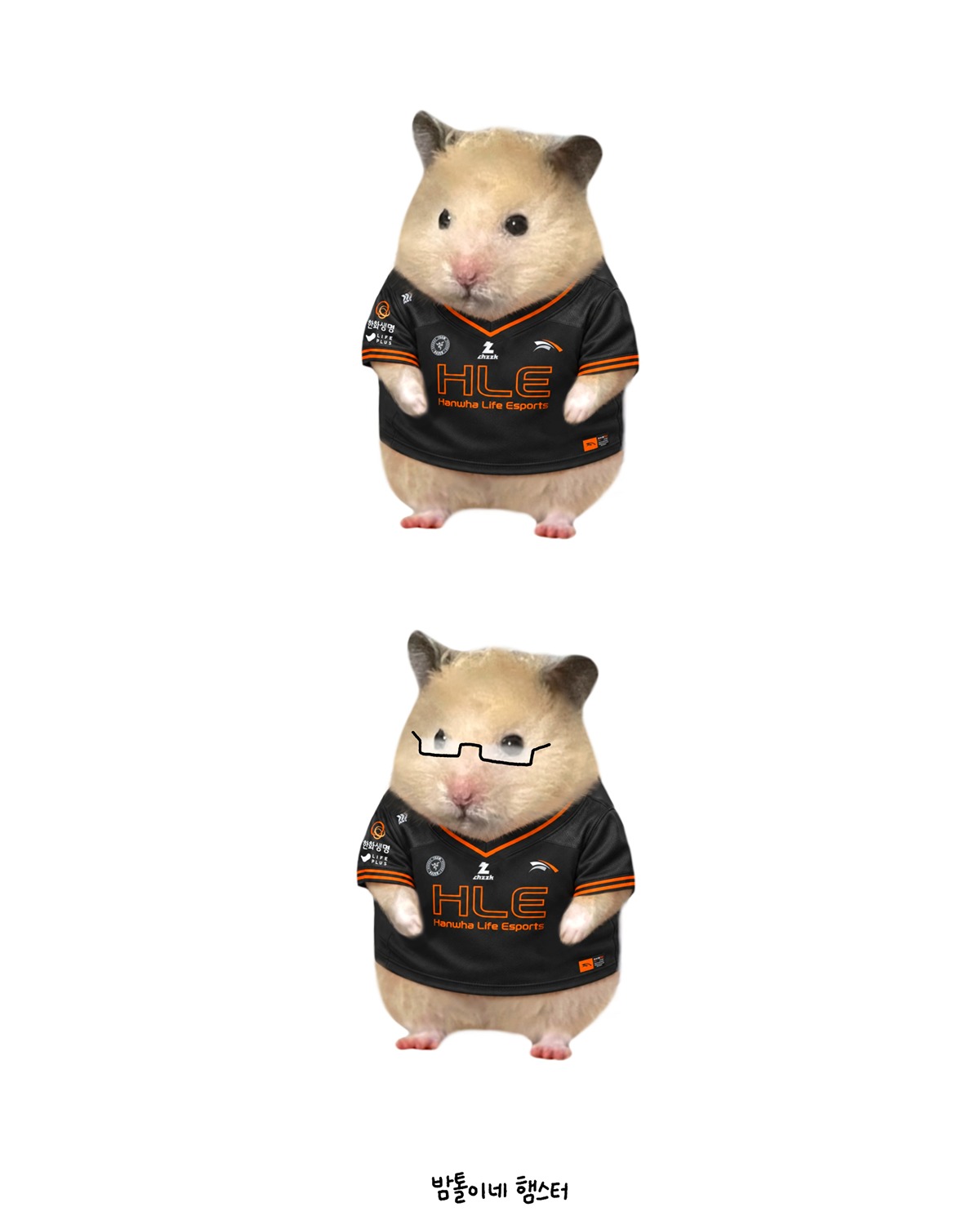 nXYjKu